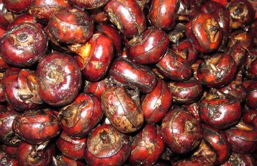  茡荠有哪些功效与作用及注意事项