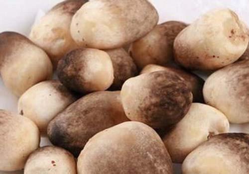  草菇有哪些功效与作用及注意事项