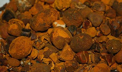  牛黄对症这几种病症很有效