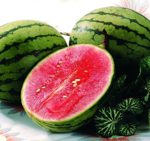  西瓜有哪些功效与作用及注意事项