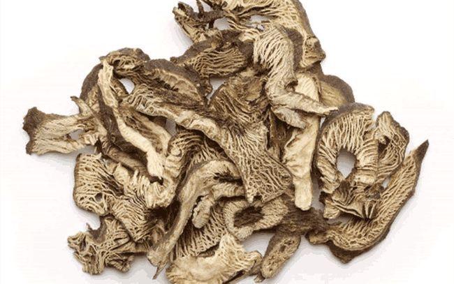  升麻有哪些功效与作用及注意事项