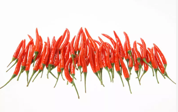  其实不止胃病患者不宜吃辣，以下这几大人群也不宜吃辣