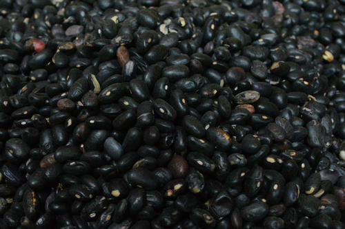  淡豆豉有哪些功效与作用及注意事项