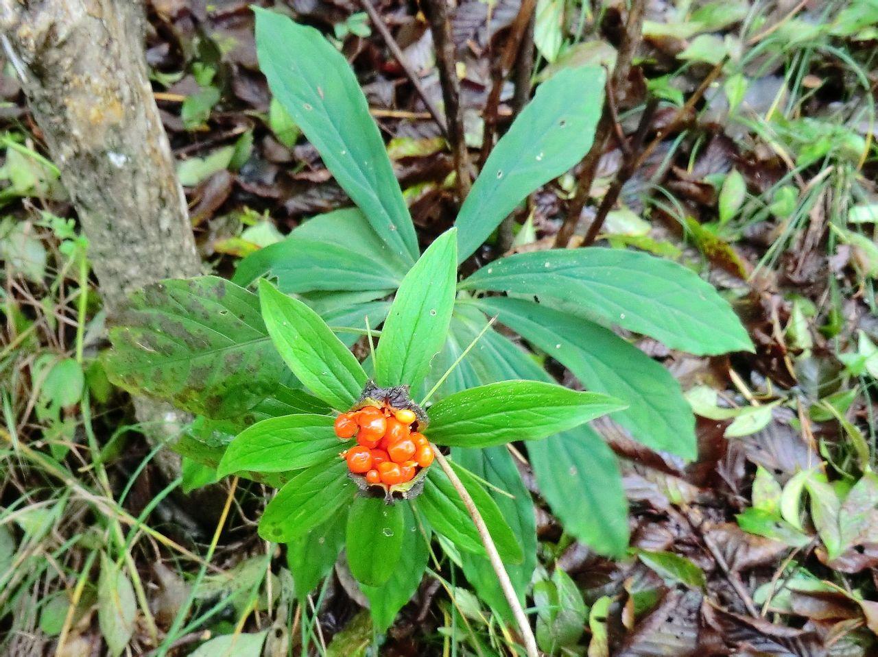 qyyzh1.jpg qyyzh1.jpg