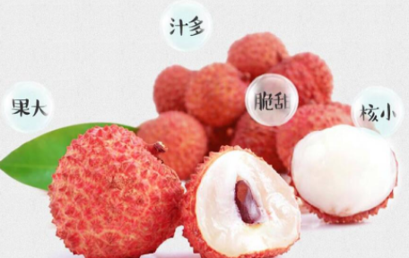  荔枝不能和哪些食物一起吃