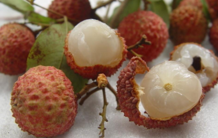 064971A0-B46F-4a99-B412-B6575BDC5477.png 064971A0-B46F-4a99-B412-B6575BDC5477.png