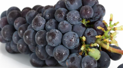 918DAFBE-78ED-4f25-A6F5-24C37E60A5AB.png 918DAFBE-78ED-4f25-A6F5-24C37E60A5AB.png