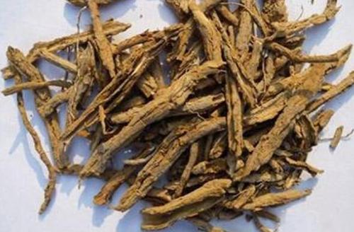  地骨皮有哪些功效作用及注意事项