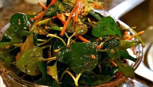  凉拌鱼腥草的食疗制作方法