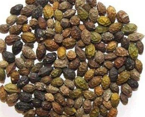  鸦胆子散酒的制作方法