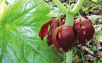 DB5E6884-F147-4373-8664-09B5B13D7A3D.png DB5E6884-F147-4373-8664-09B5B13D7A3D.png