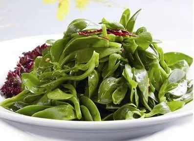  糖醋穿心莲的食疗制作方法