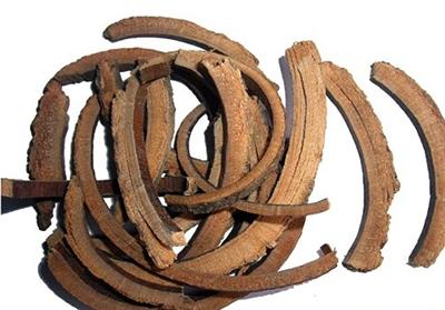  秦皮有哪些功效作用及注意事项