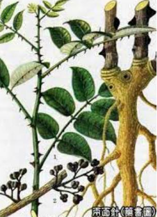 B1B2EC7B-81F1-4da7-AD57-B95FB71729F1.png B1B2EC7B-81F1-4da7-AD57-B95FB71729F1.png