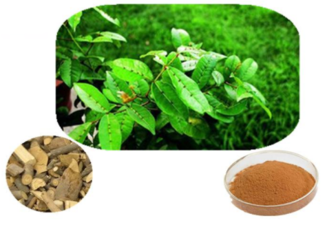 CF950C6F-6337-4191-89A6-ACBDB6B1DB5A.png CF950C6F-6337-4191-89A6-ACBDB6B1DB5A.png