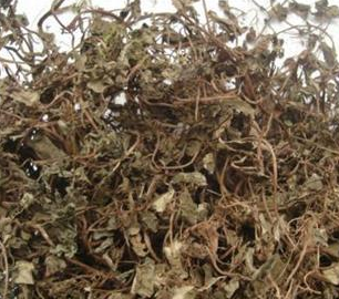 DA001E98-C8D1-4d26-96D6-9E48B51BD879.png DA001E98-C8D1-4d26-96D6-9E48B51BD879.png