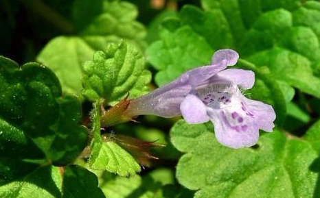 91064070-81F9-4ffc-B169-6AA49A79E087.png 91064070-81F9-4ffc-B169-6AA49A79E087.png