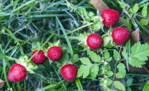 3AA09166-13CC-4d1e-B19B-8F874BE3<a href= 3AA09166-13CC-4d1e-B19B-8F874BE3<a href=