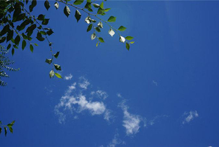 好心情.jpg 好心情.jpg