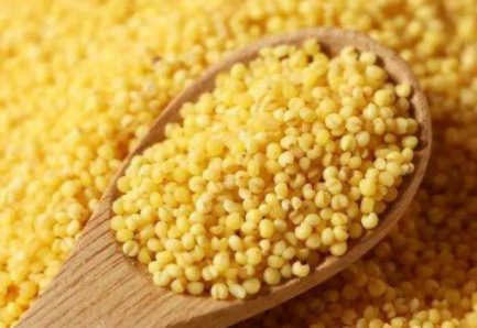  冬季养胃的食物有哪些