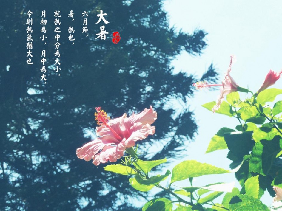 大暑-2.jpg 大暑-2.jpg