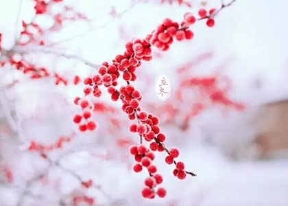  立冬了，你的冷空气已到货，准备好签收了吗