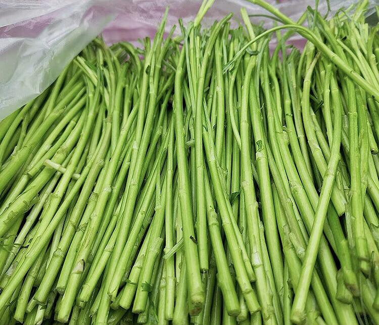 藜蒿可以利湿退黄 藜蒿可以利湿退黄