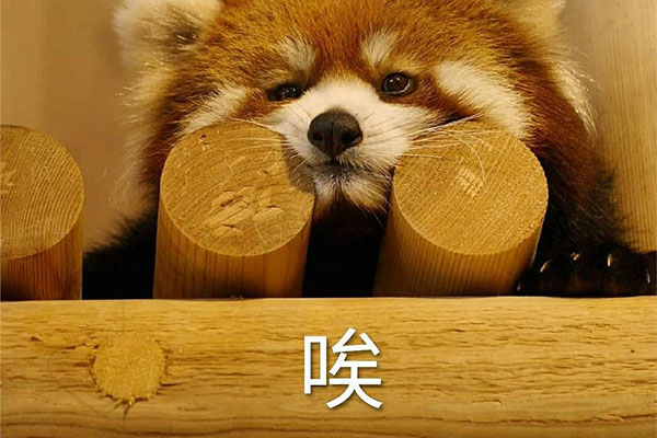 叹气是肝气郁结 叹气是肝气郁结