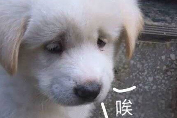 叹气是气虚 叹气是气虚