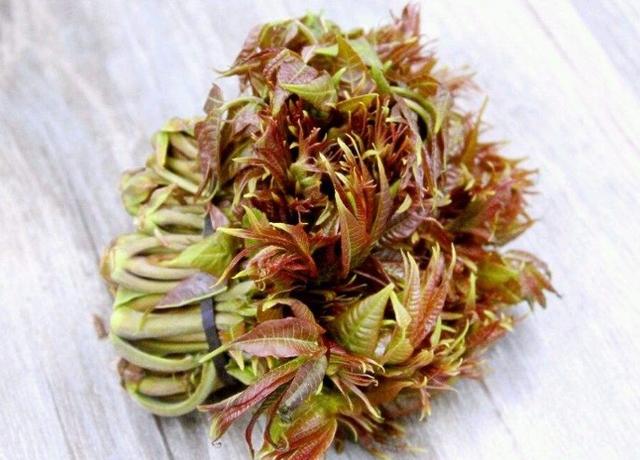 眼部并发症患者不适合吃香椿 眼部并发症患者不适合吃香椿