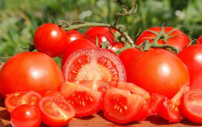 番茄美味好吃 番茄美味好吃