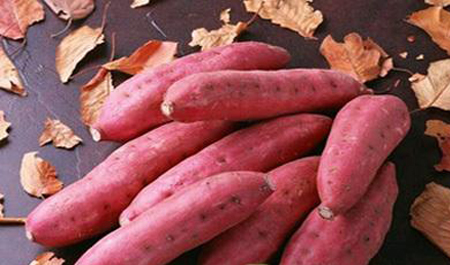  红薯虽好吃，这几个注意事项也不能忘