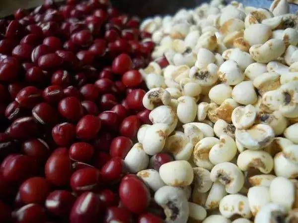 红豆薏米茶可以补充维生素 红豆薏米茶可以补充维生素