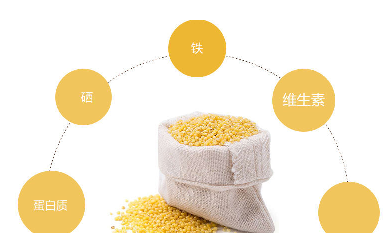  小米功效作用大，那么小米粥怎么煮最营养呢？