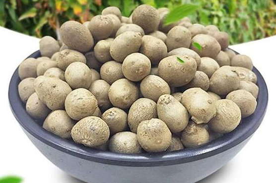 可以提高免疫 可以提高免疫