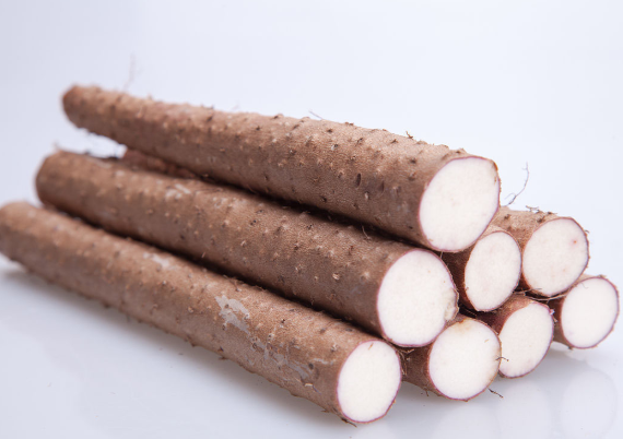 铁棍山药 铁棍山药