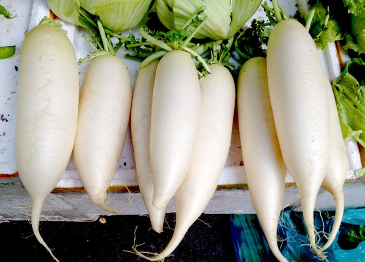 枇杷不能和萝卜一起 枇杷不能和萝卜一起