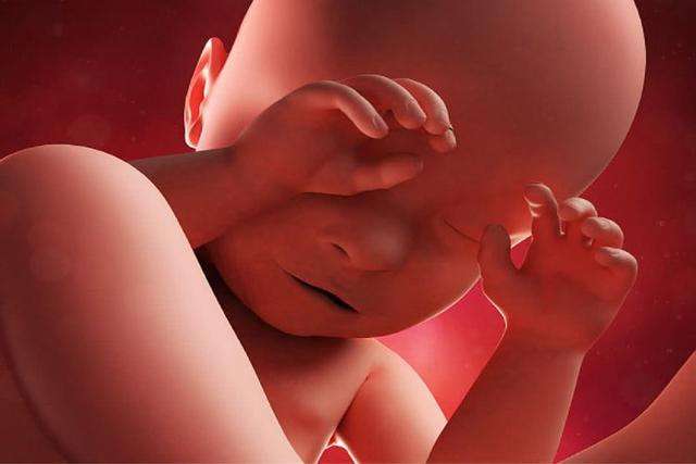 枇杷帮助胎儿视力发育