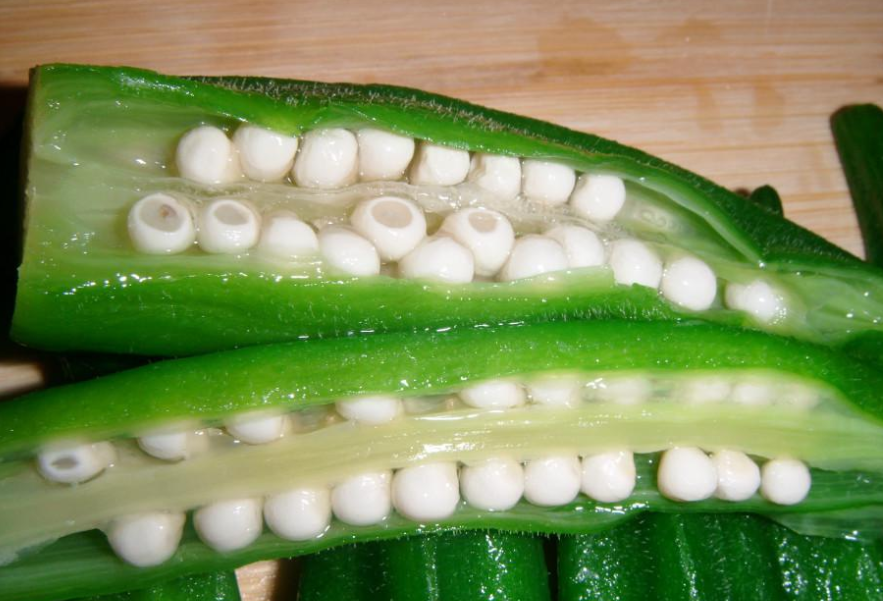 秋葵籽粘液蛋白 秋葵籽粘液蛋白