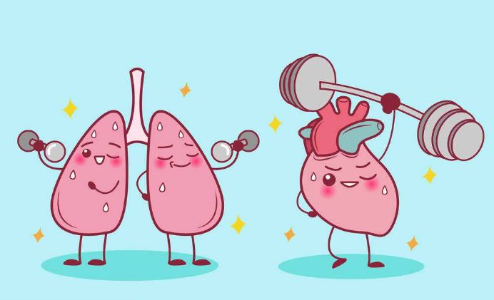 陈皮普洱茶能益气健脾 陈皮普洱茶能益气健脾