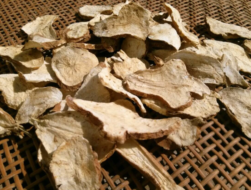 白术需谨慎食用 白术需谨慎食用