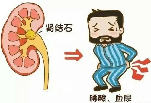 草莓的禁忌人群 草莓的禁忌人群