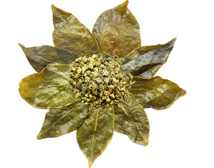 沉香叶茶强身健体 沉香叶茶强身健体