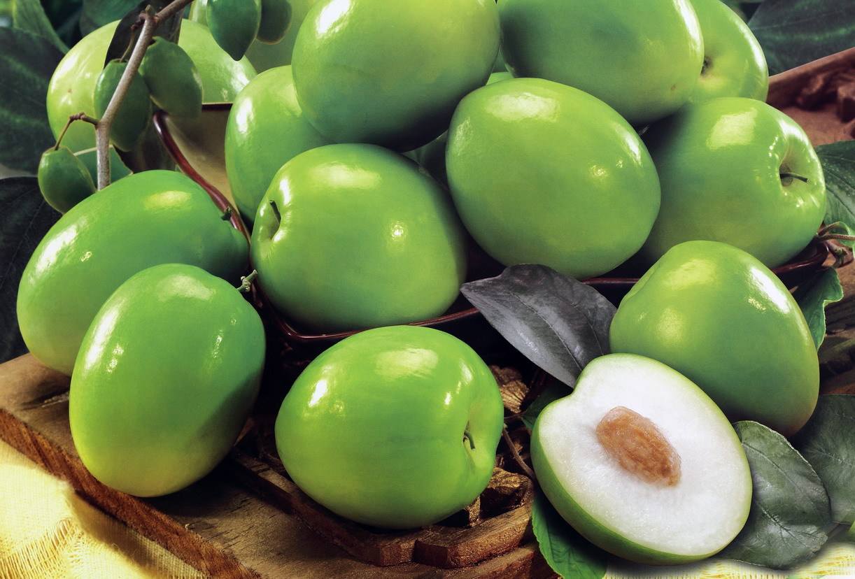 青枣可以抗癌 青枣可以抗癌