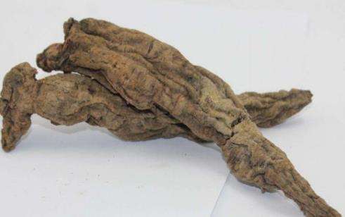 红枣不与玄参一起吃 红枣不与玄参一起吃