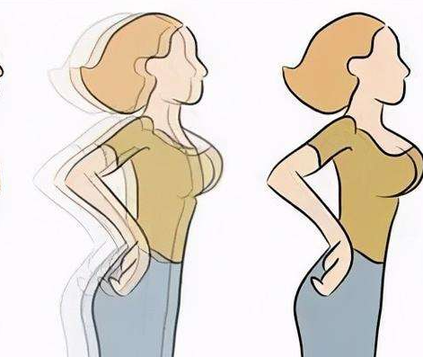 葛根粉促使胸部挺拔 葛根粉促使胸部挺拔