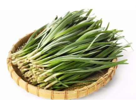 韭菜的功效与作用 韭菜的功效与作用
