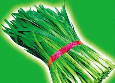 缺钙、缺铁的人群少吃韭菜 缺钙、缺铁的人群少吃韭菜