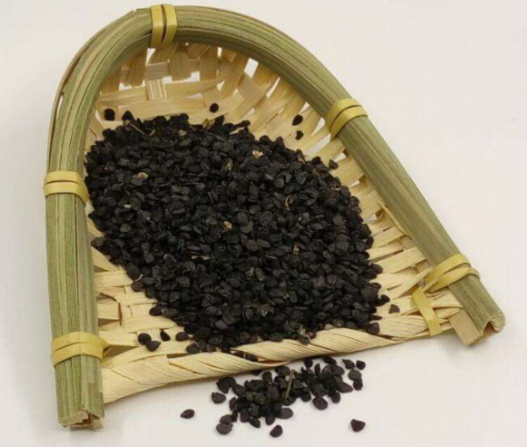 韭菜籽改善遗精 韭菜籽改善遗精