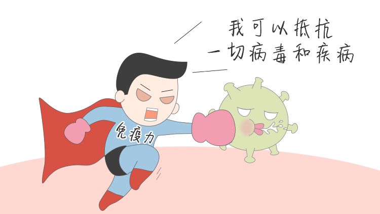 肉苁蓉泡水提高免疫力